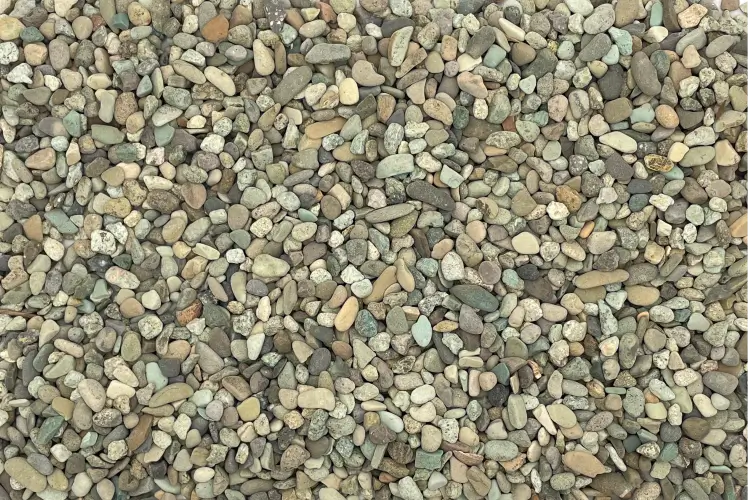 天草