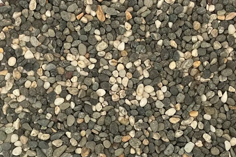 磯浜