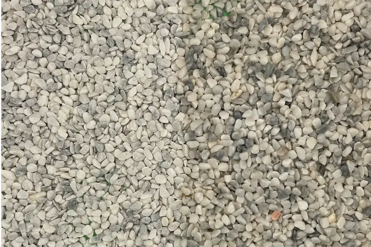 台湾ホワイト